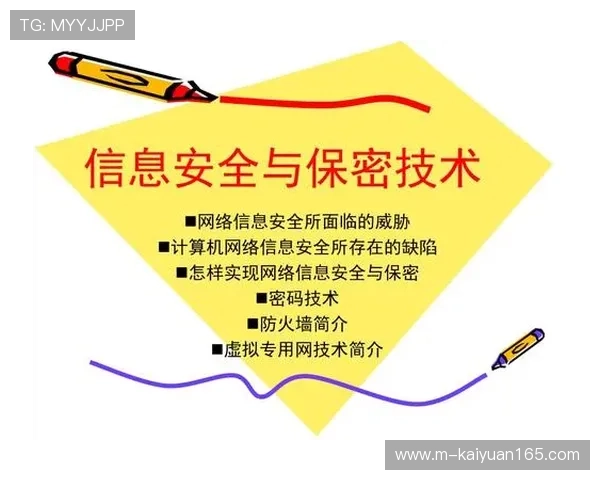 星城网站登录安全保障措施，确保用户信息安全的实用技巧