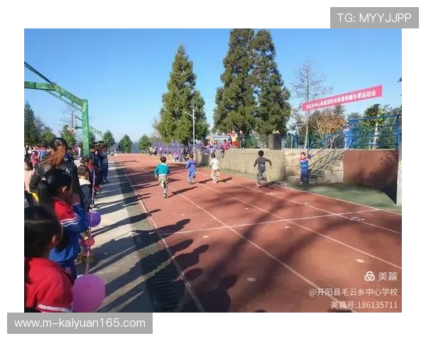 艾尚体育：结合大数据与人工智能，优化运动训练方案，提升运动员竞技水平